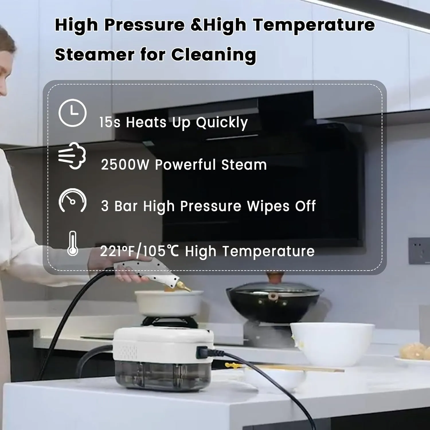 2500W Handheld Steam Cleaner,Portable Car Steamer For Auto Detailing,High-Temperature and Pressure Steam Cleaner For Home, Steam Cleaning Machine for Furniture,Kitchen,Grout,Floor,Tile (Green) (WHITE)