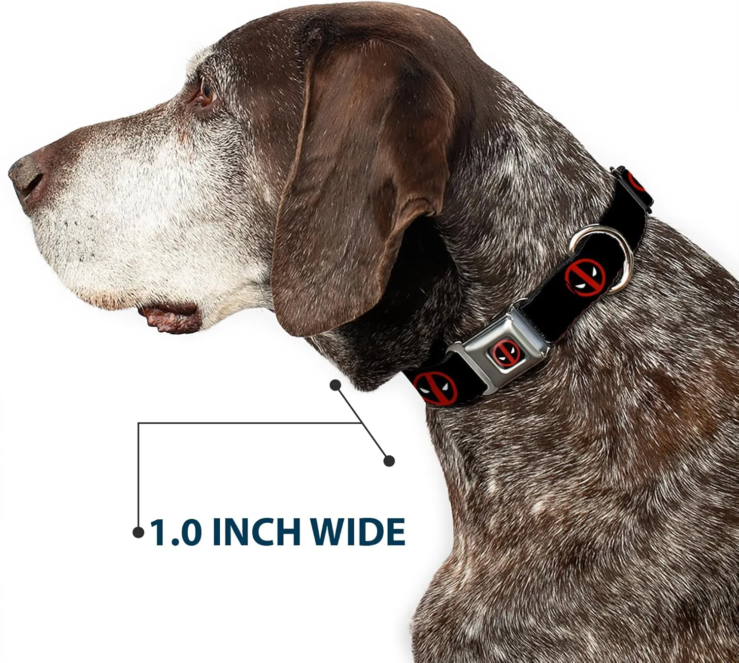 Buckle-Down Seatbelt Buckle Dog Collar - Deadpool Logo Black/Red/White - 1" Wide - Fits 9-15" Neck - Small
