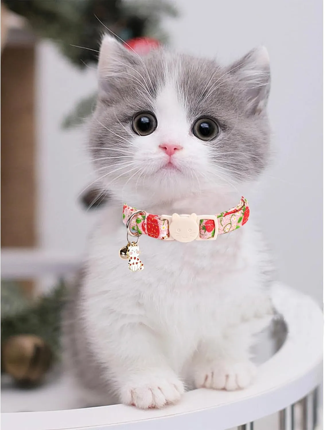 Cat Collar-2 Pack Cat Collars bee & Strawberry Cat Collar Breakaway with Kitten and Bell Pendant Safety Buckle Adjustable Cute Pet Collar for Girl Cats Gift for Cats and Small Pets