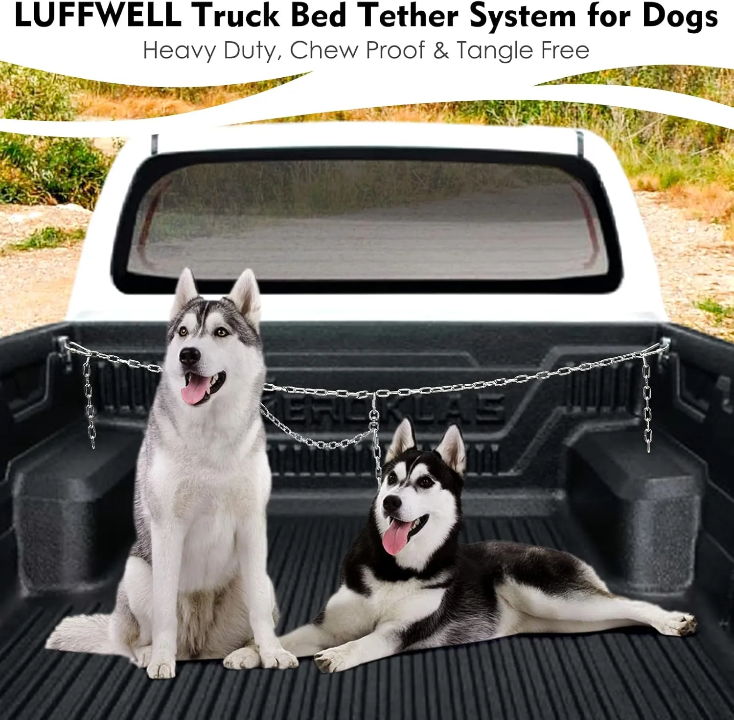 Chain Tether Dog Leash, Heavy Duty Tie Down System for Two Dogs, Metal Bed Harness Barrier Lead for Vehicles