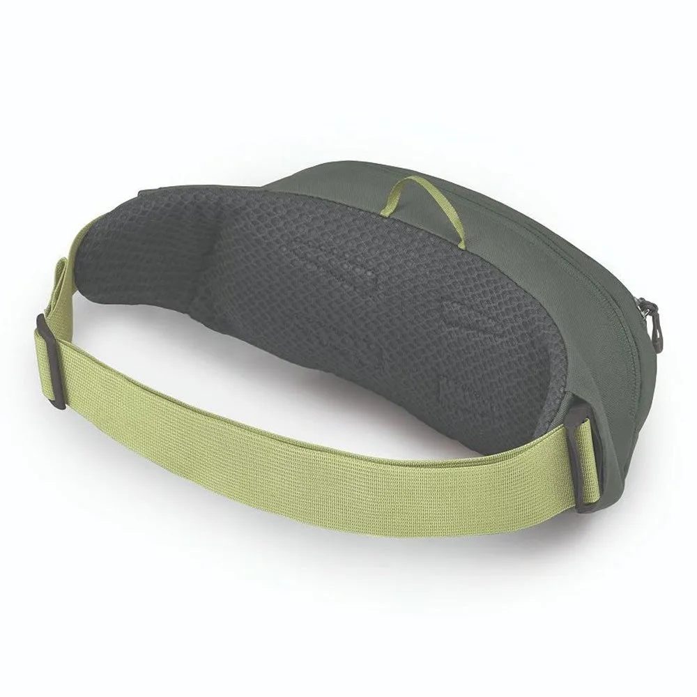 DAYLITE WAIST PACK