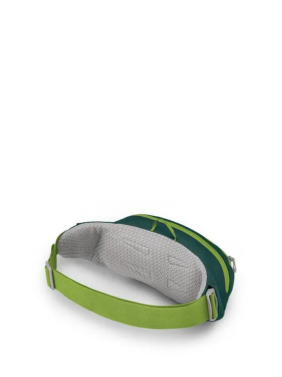 Daylite Waist Pack