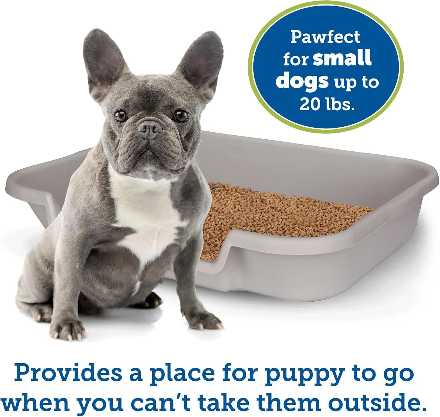 Dog Litter Box, Large Size, Misty Gray, Durable & Pet Safe, Indoor Open Top Entry Litter Pan, Comfortable for Puppy, Great for Dogs up to 20 lbs