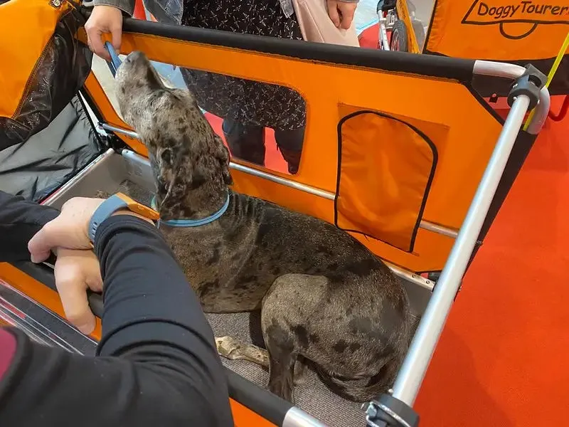 Doggy Tourer Beethoven XL Dog Bike Trailer