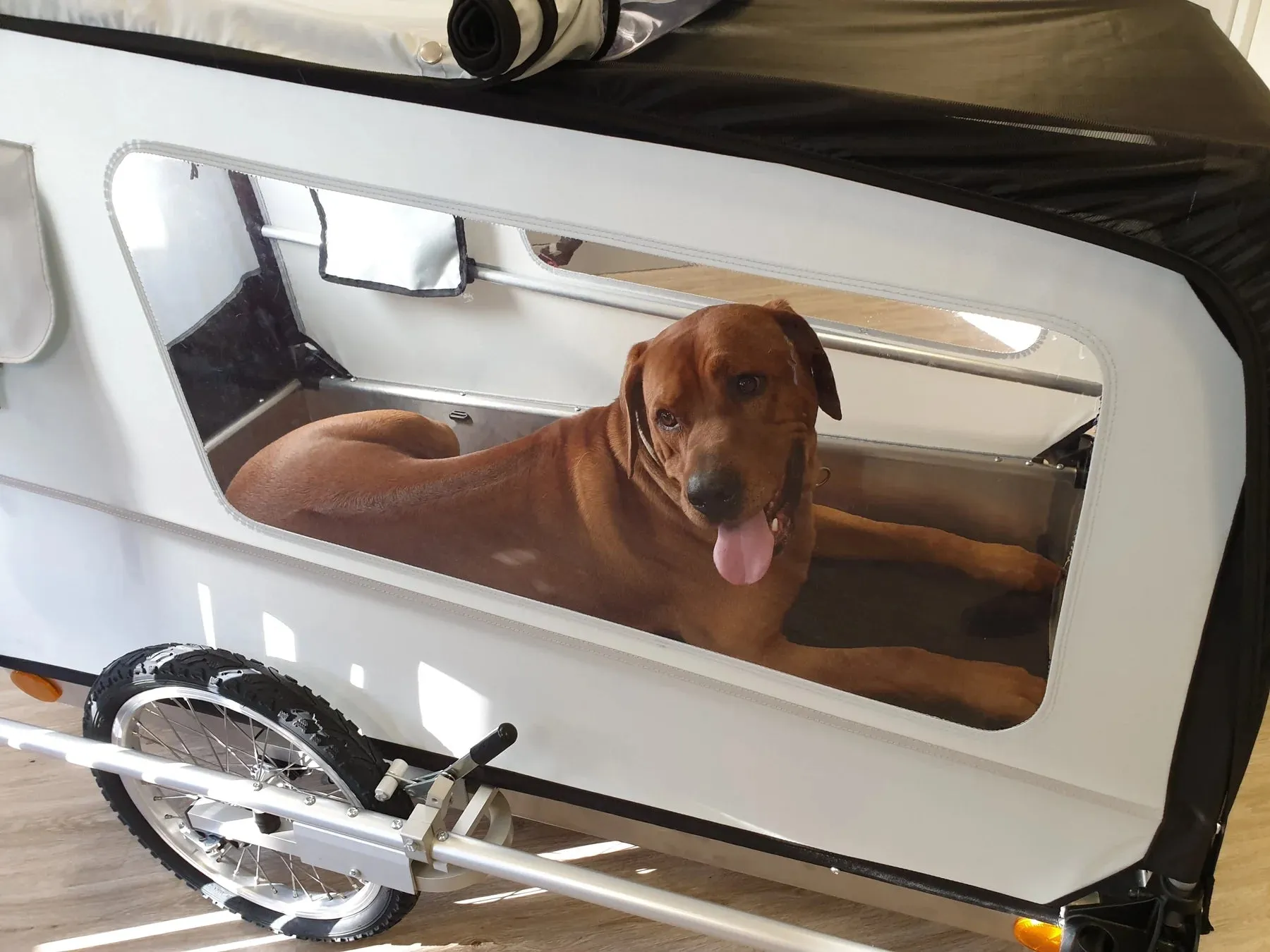 Doggy Tourer Beethoven XL Dog Bike Trailer