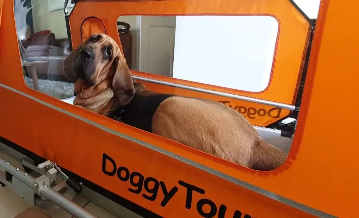 Doggy Tourer Beethoven XL Dog Bike Trailer