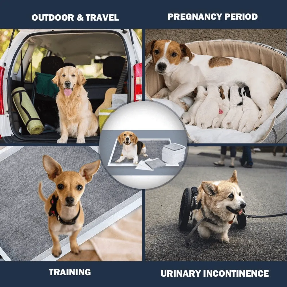 Dono Carbon Training Pads for Dogs and Cats (45x33cm)