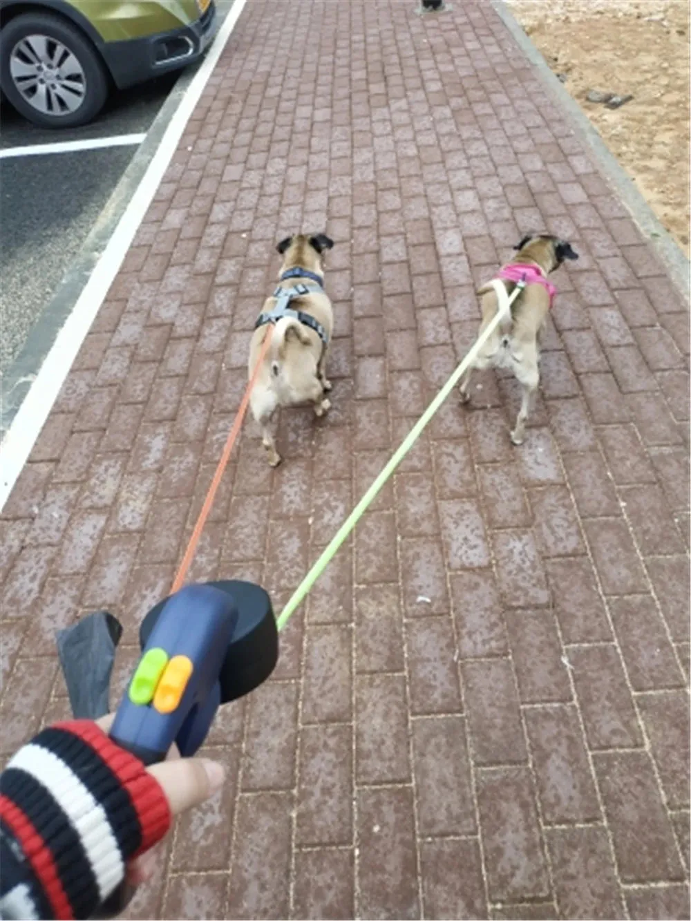 Dual Dog Leash Retractable Pet Traction Ropes Auto Adjustable Dual Pet Leash 360 Rotation 2 Dog Pets Walking Rope with LED Light