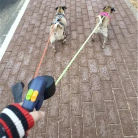 Dual Dog Leash Retractable Pet Traction Ropes Auto Adjustable Dual Pet Leash 360 Rotation 2 Dog Pets Walking Rope with LED Light