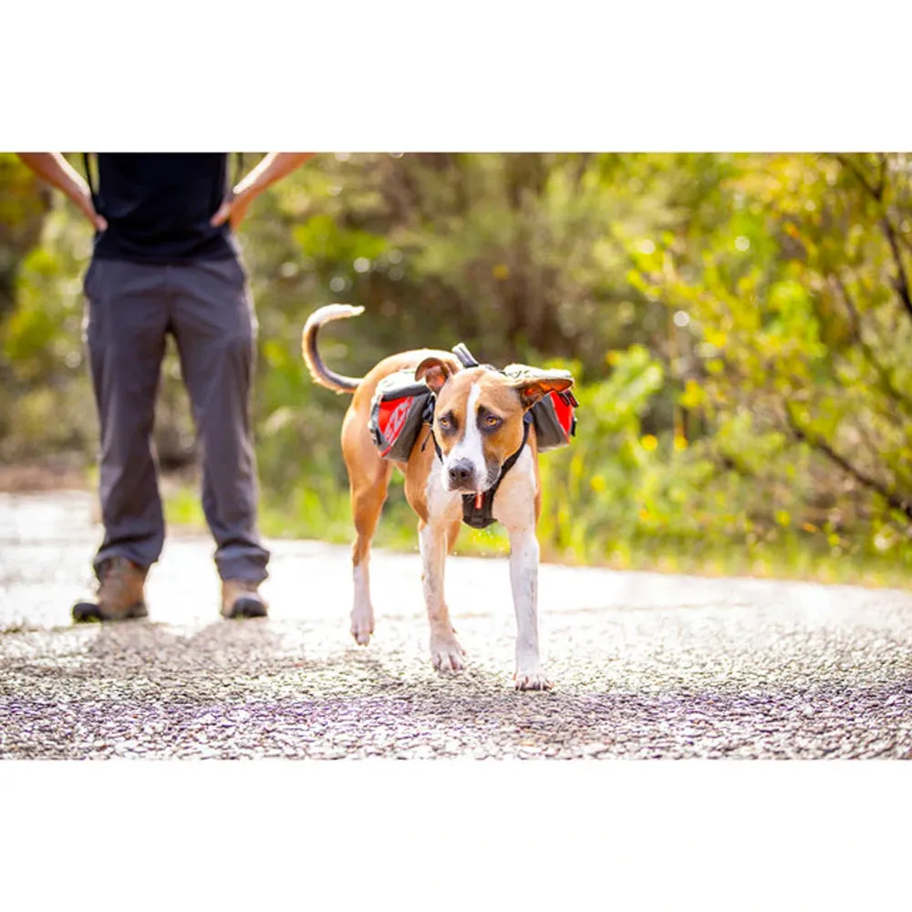 EzyDog Summit Backpack