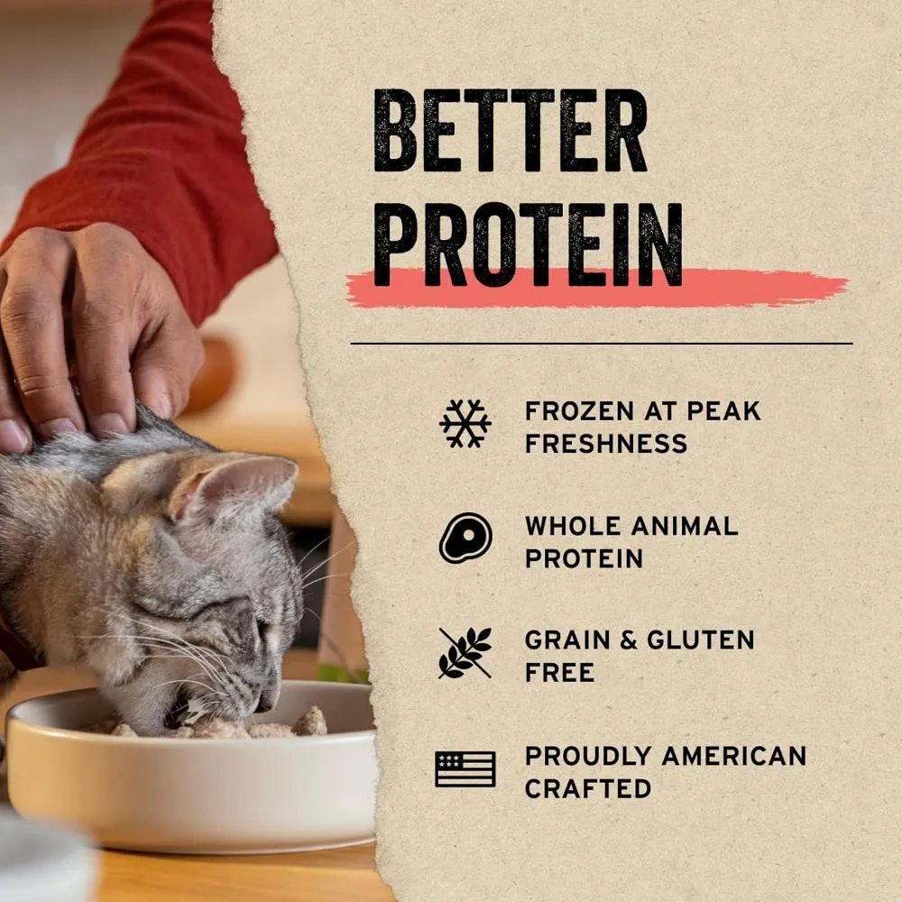 Freeze Dried Raw - Turkey Entree Mini Nibs Cat Food