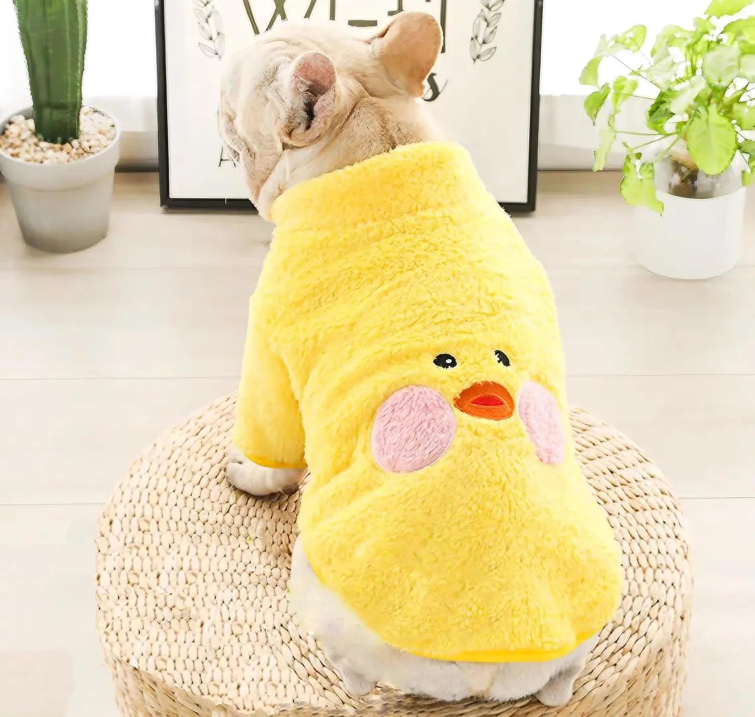 French Bulldog Clothes Frenchie Clothes, Warm Fleece Dog Sweaters for Small Dogs Boy, Small Pets Winter Coat Jacket,Yellow, M