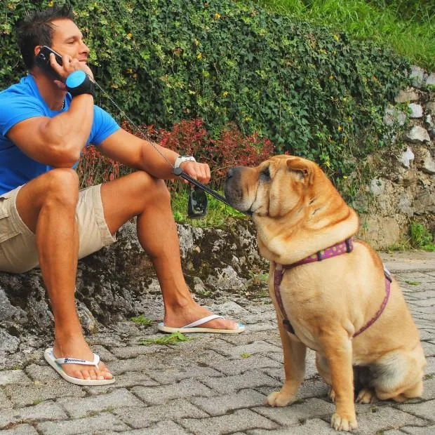 Hands Free Retractable Dog Leash - Wrist Strap 3M Reflective Dog Leash
