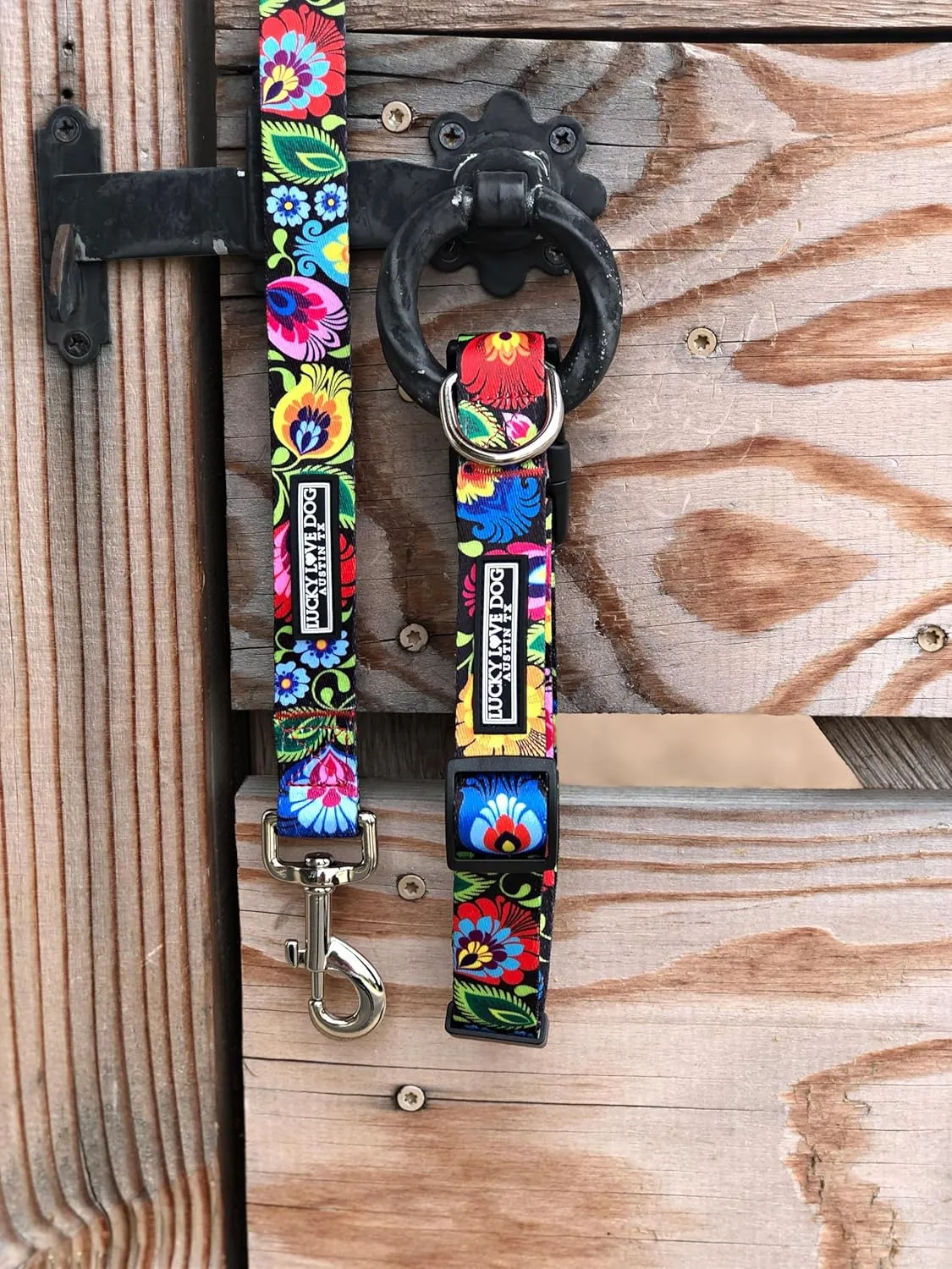 Lucky Love Dog Leash, Beautiful Vivid Patterns, Durable & Long Lasting (Blackbird, Large)