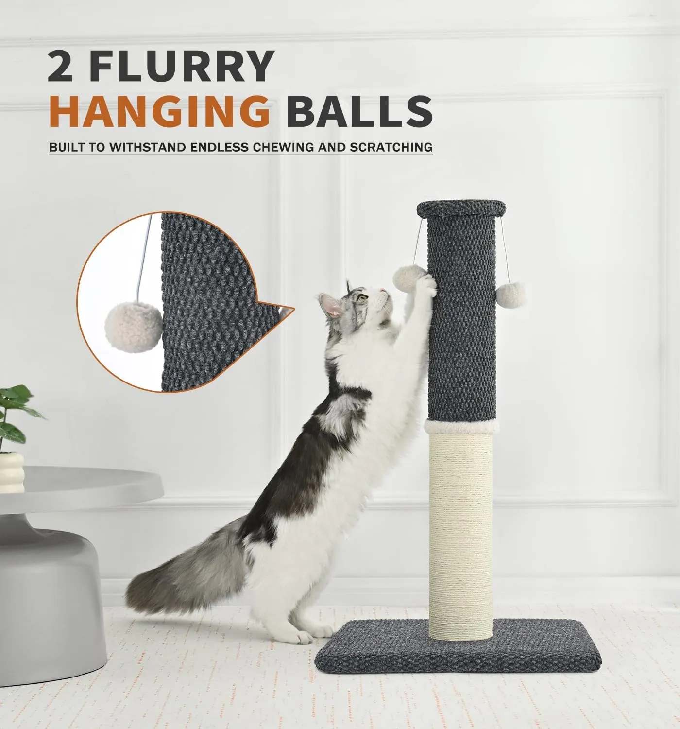Made4Pets  33 ( 83.8 ),, 4.3 ( 11.9 ),