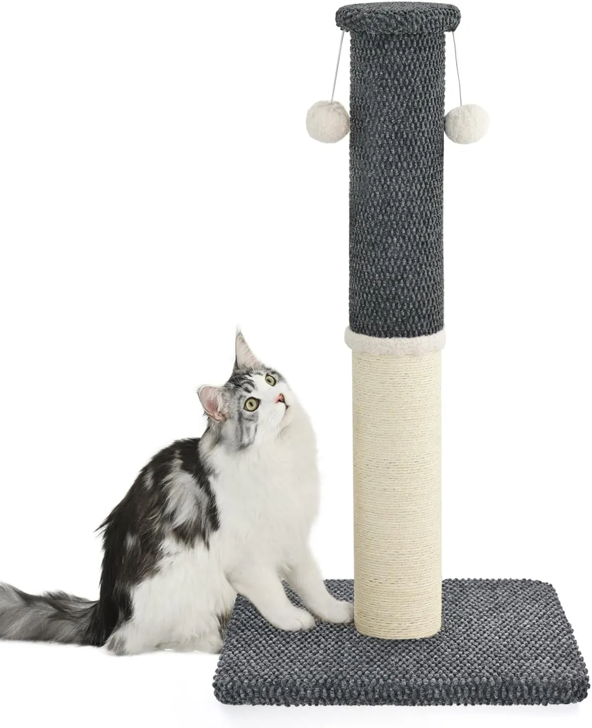 Made4Pets  33 ( 83.8 ),, 4.3 ( 11.9 ),