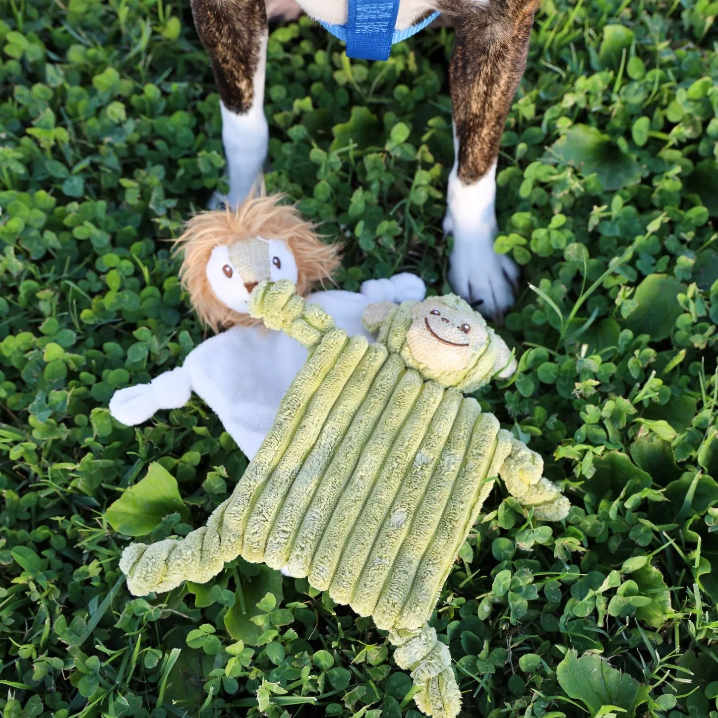 Mini Flying Hemp Monkey and Lion Dog Toys: Fun Squeaker & Crinkle Material, Engages Pets for Chewing, Playing & Fetching, Non-Toxic, Variety of Textures, CE Certified, for Pets