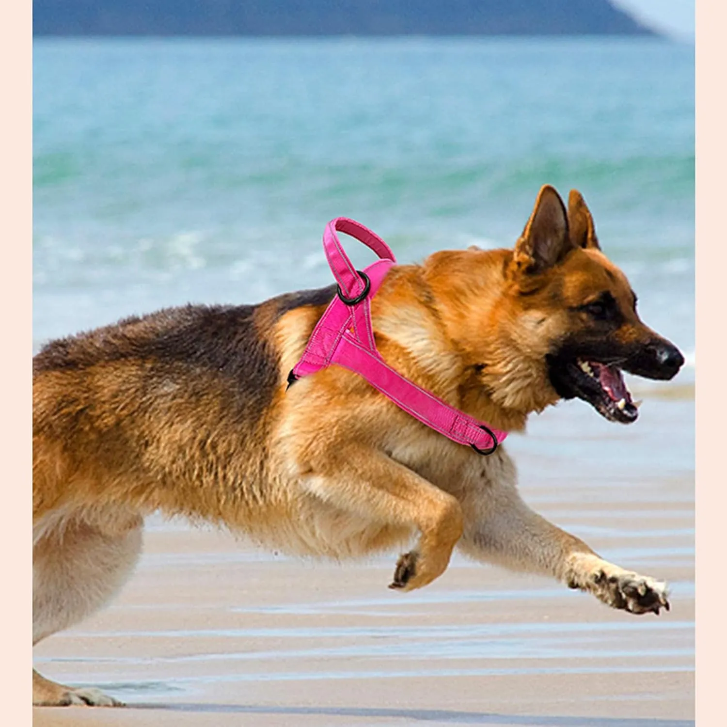 No Pull Dog Harness - Medium/Large, Reflective, Adjustable, Pink