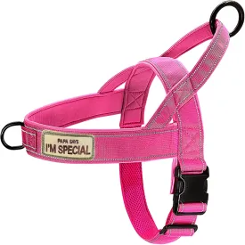 No Pull Dog Harness - Medium/Large, Reflective, Adjustable, Pink