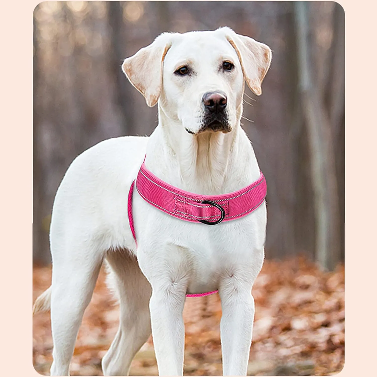 No Pull Dog Harness - Medium/Large, Reflective, Adjustable, Pink