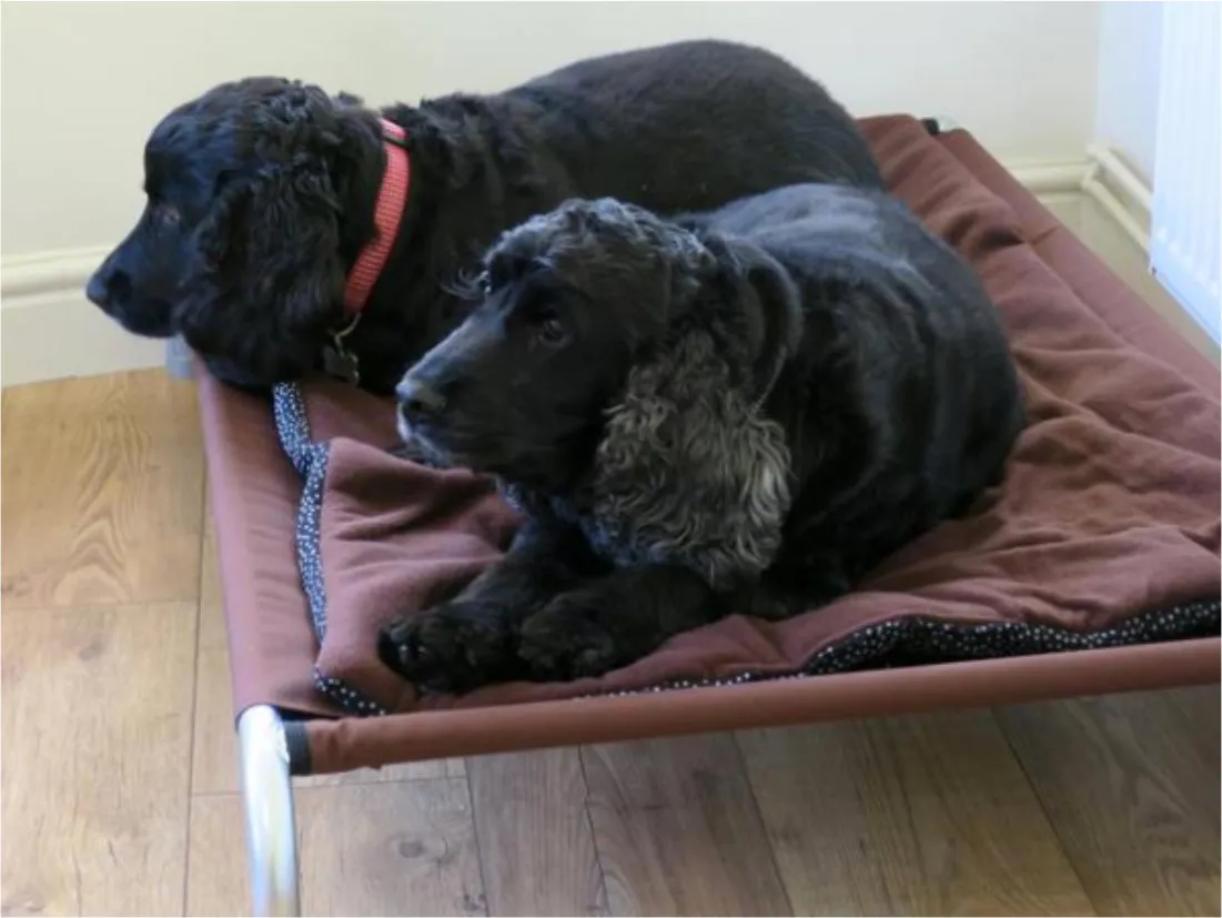 Non-Slip Fleece Dog Bed Pads