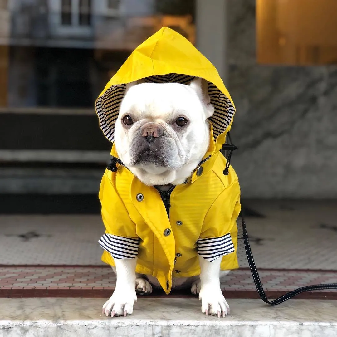 Paw des Garçons Raincoat