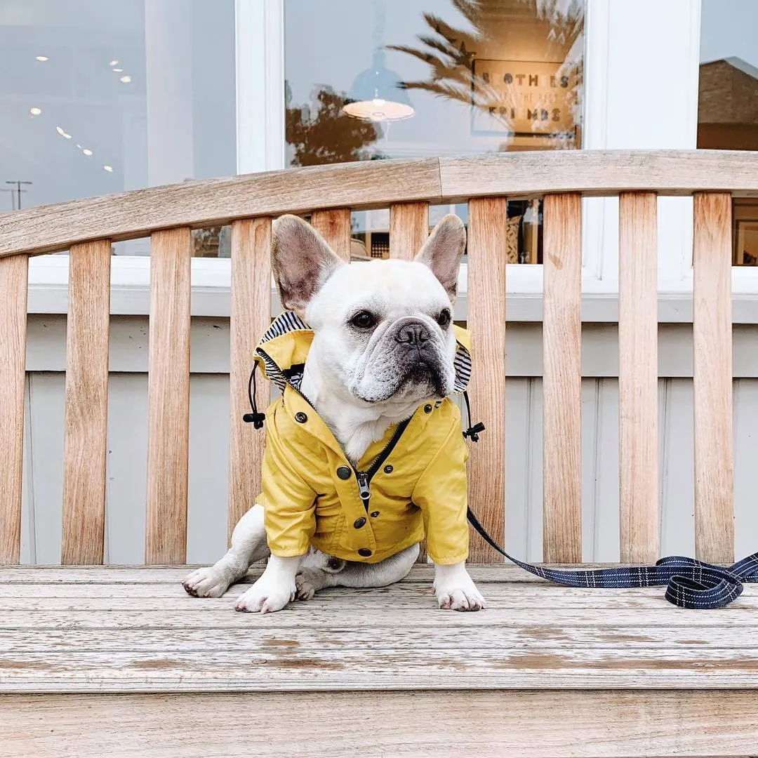 Paw des Garçons Raincoat