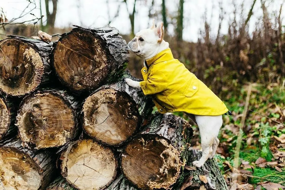 Paw des Garçons Raincoat