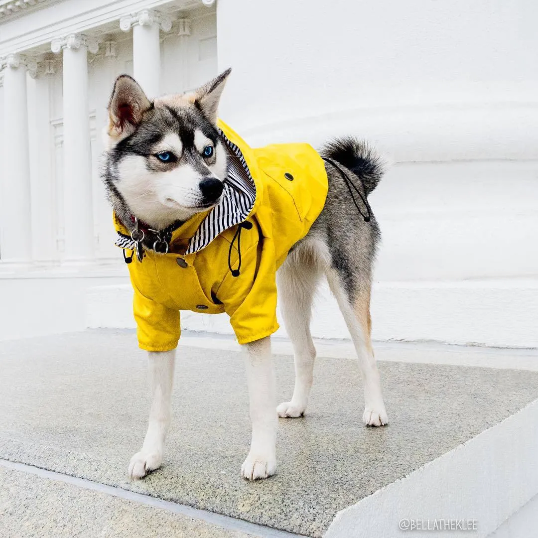 Paw des Garçons Raincoat