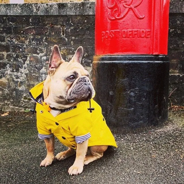 Paw des Garçons Raincoat