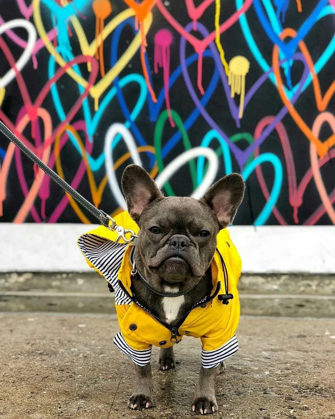 Paw des Garçons Raincoat