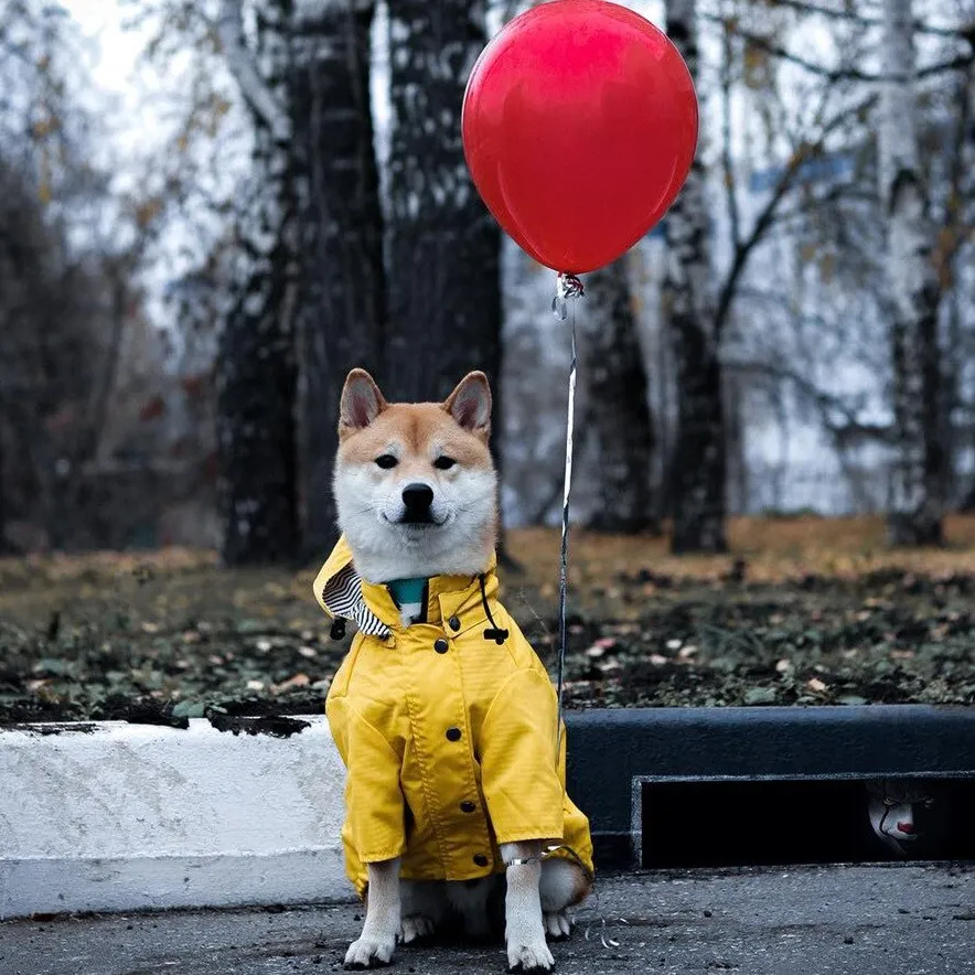 Paw des Garçons Raincoat