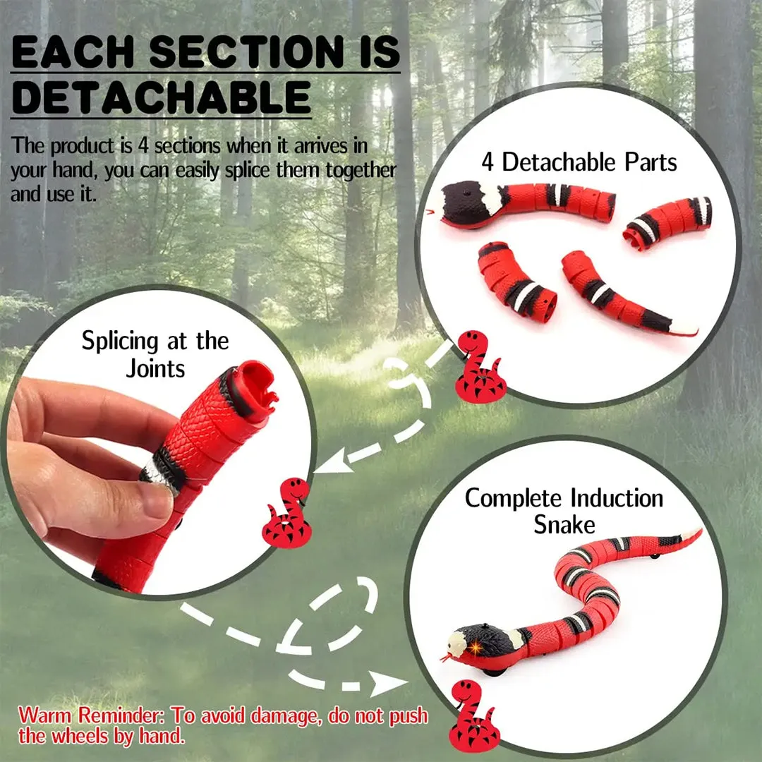 PetAffairs Automatic Electronic Snake Teaser Smart Product