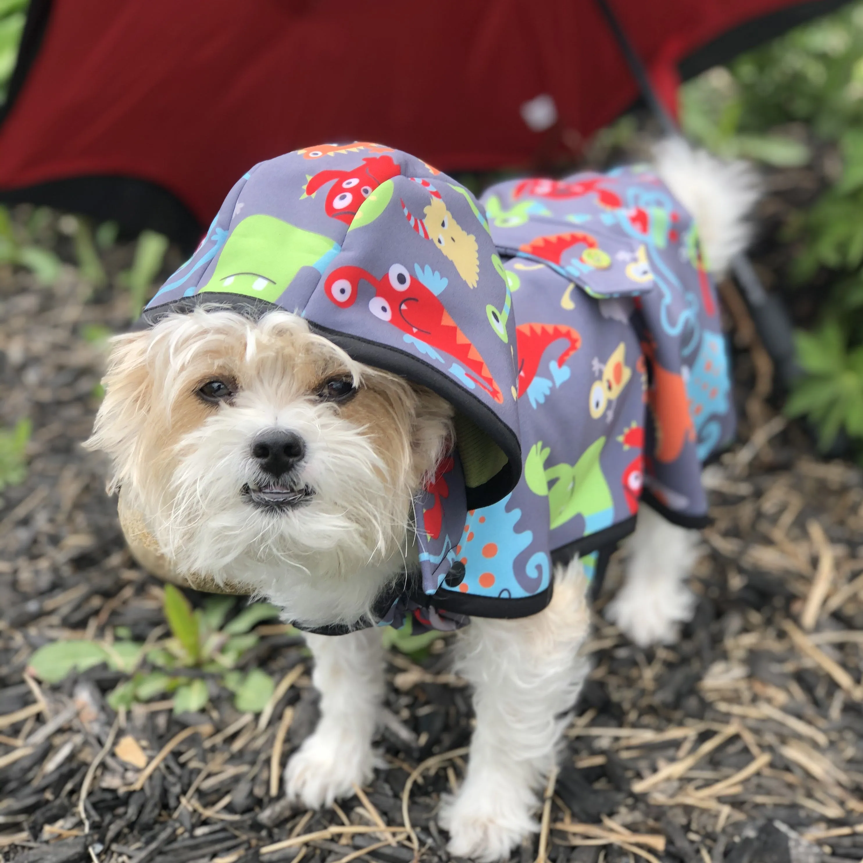 Raincoat - Monsters