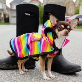 Raincoat - Rainbow Stripes