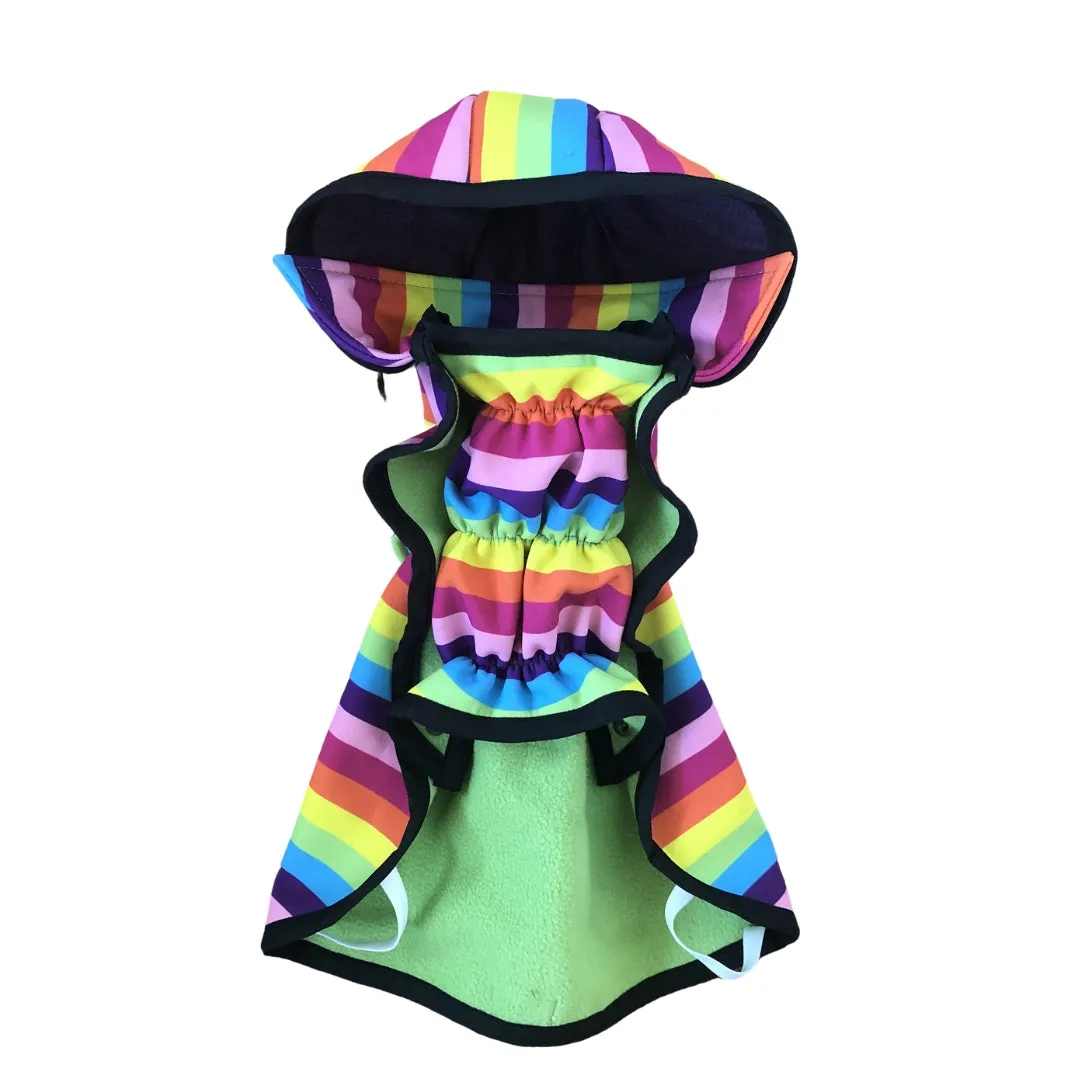 Raincoat - Rainbow Stripes