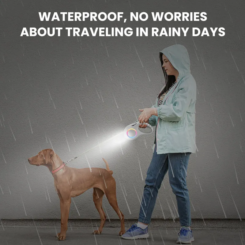 Retractable Dog Leash with LED Light