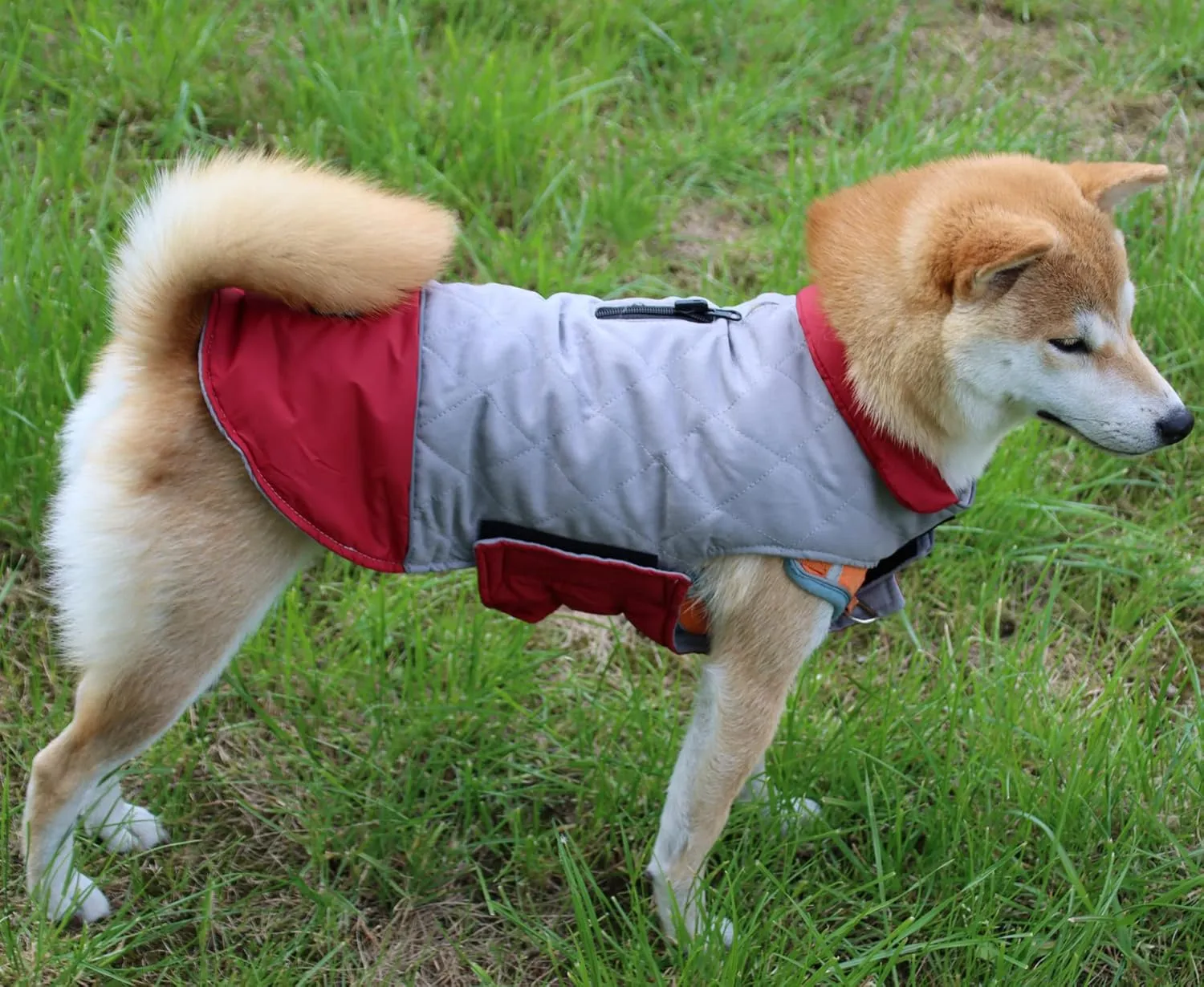 Reversible Dog Coats for Small Dogs Waterproof Warm Puppy Jacket for Cold Winter,Red and Grey XS