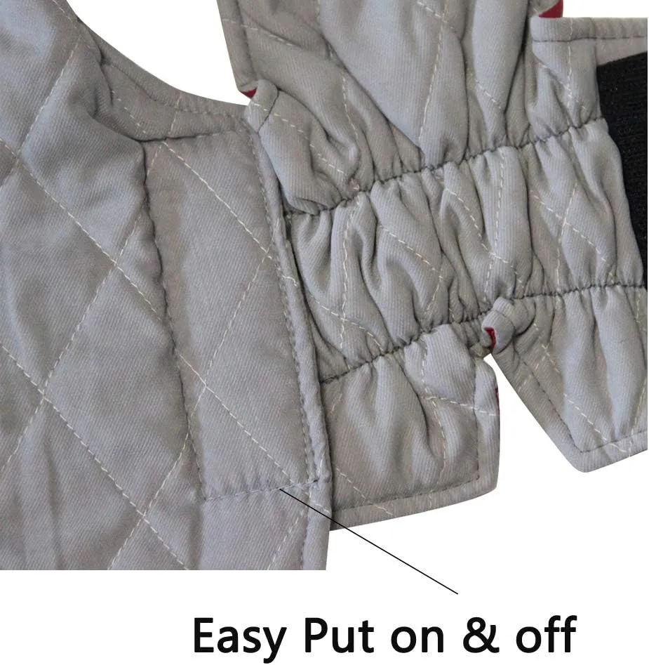 Reversible Dog Coats for Small Dogs Waterproof Warm Puppy Jacket for Cold Winter,Red and Grey XS