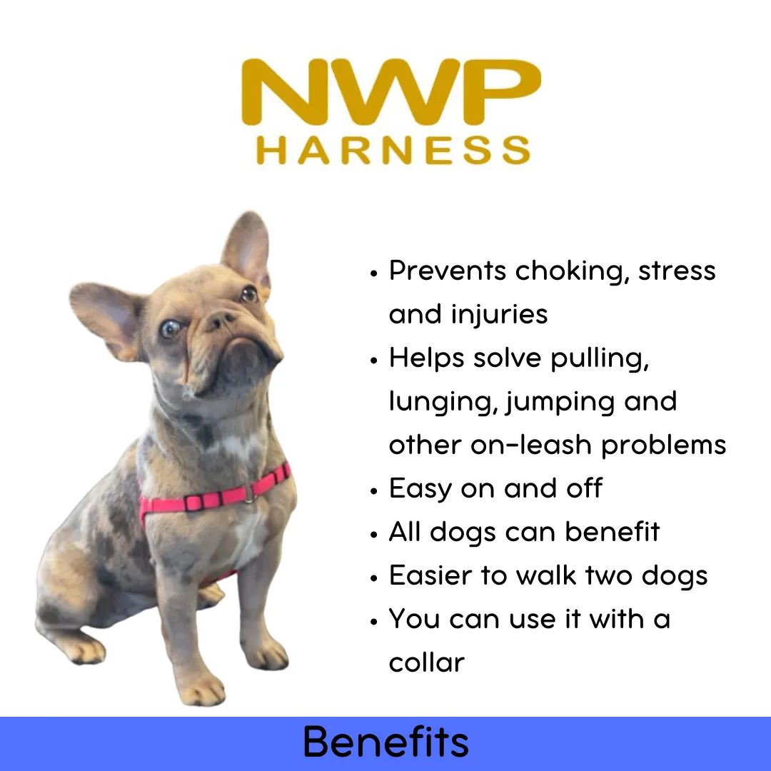 SENSE-ation® No-Pull Dog Training Harness