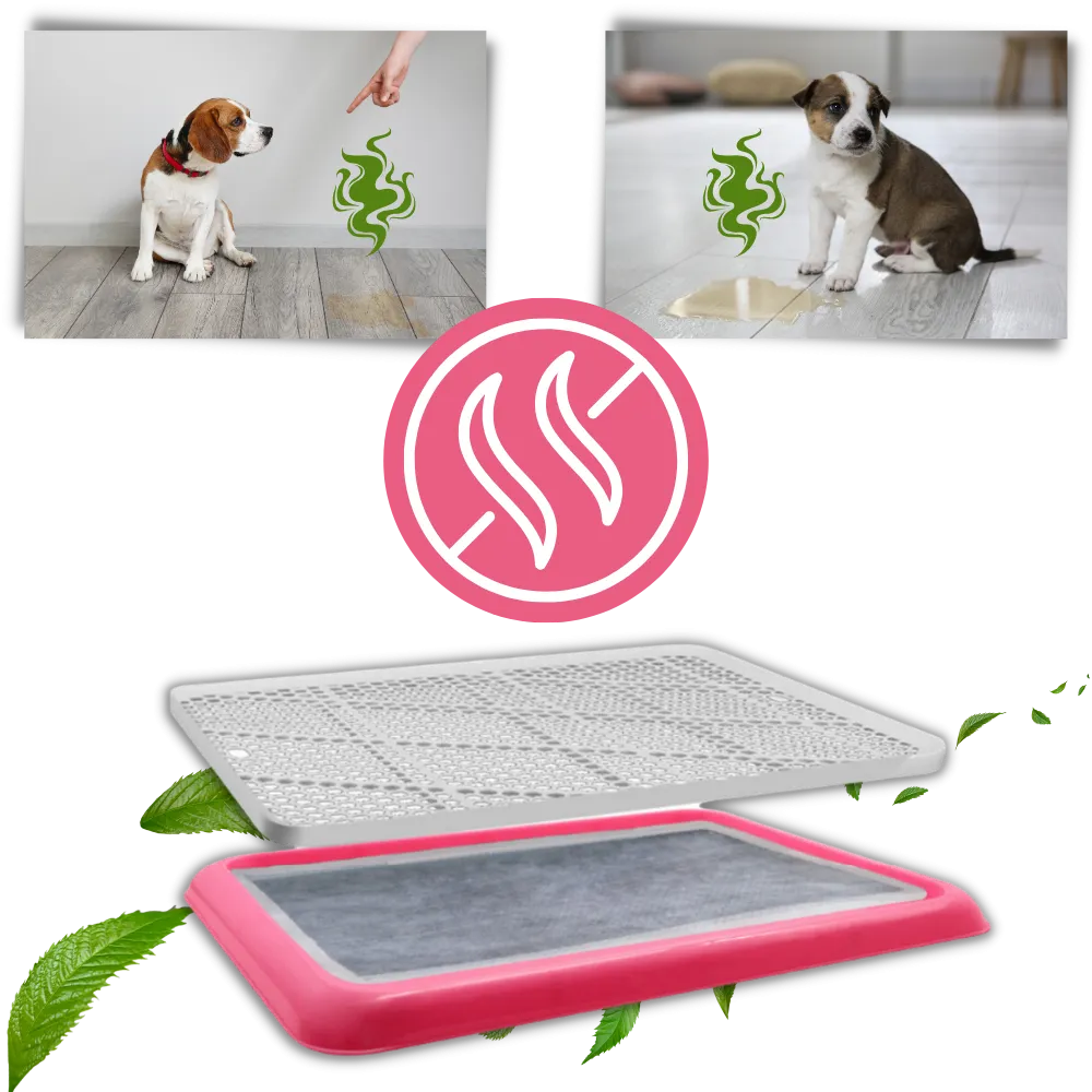 Splash-proof Dog Pee Pads