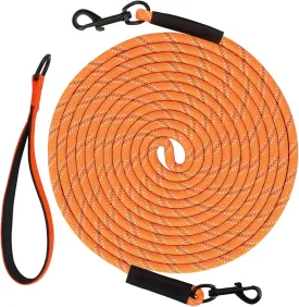 Taglory Dog Tie Out, Long Dog Leash 15FT 30FT 50FT 66FT, Recall Training Leash with 2 Swivel Hooks for Large Medium Small Breeds Walking, Camping, or Backyard, Orange 30FT