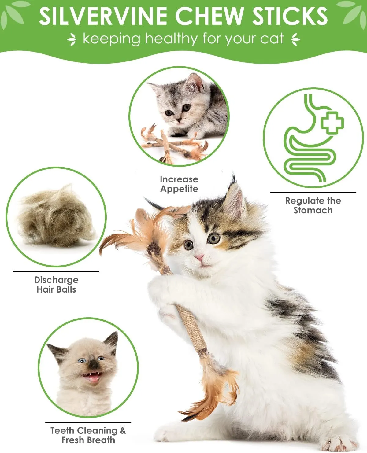 TINDTOP Silvervine Sticks for Cats with Natural Feather, Catnip Chew Toys for Kittens Teeth Cleaning, Matatabi Dental Care, Increase Appetite, Calm Cat Anxiety and Stress, Cat Dental Toy