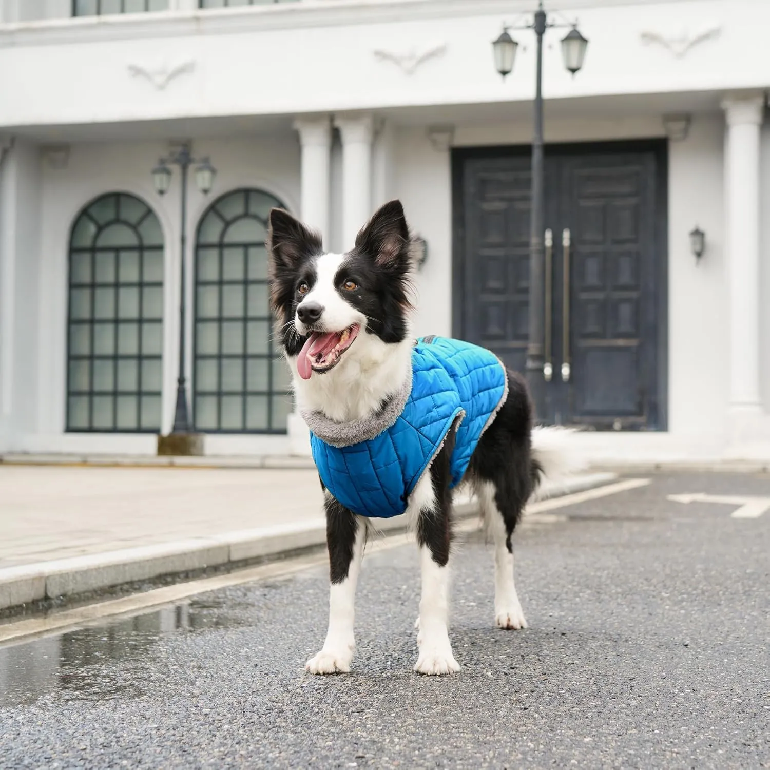 Warm Fleece Dog Coats with Durable Harness Buitl in D-Ring,Waterproof Doggie Jacket for Medium Dogs,Dog Vest for Cold Winter,Light Blue XL