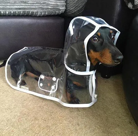 Waterproof Dog Rain Coat
