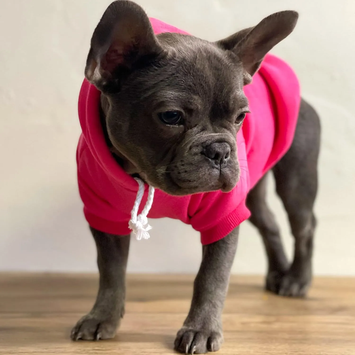 We Do Too Wedding Engagement Announcement Dog Hoodie Fleece Lined Pullover Sweatshirt with Leash Hole (Grey, 4X-Large 81)