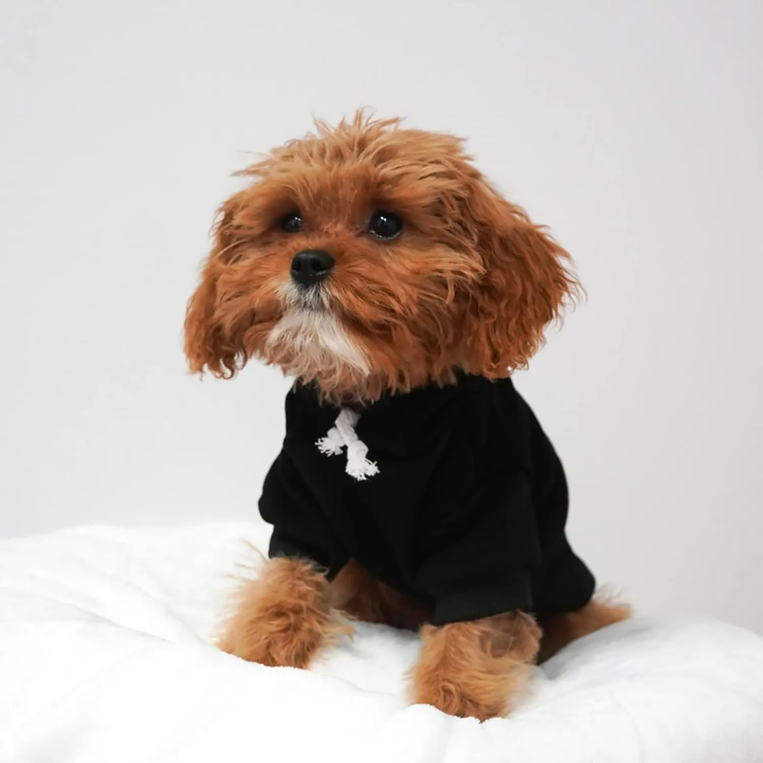 We Do Too Wedding Engagement Announcement Dog Hoodie Fleece Lined Pullover Sweatshirt with Leash Hole (Grey, 4X-Large 81)