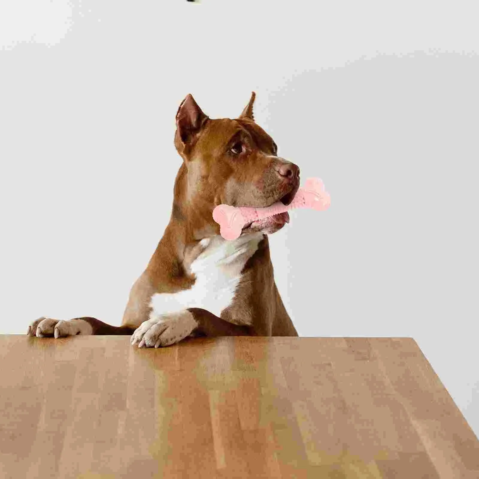 Wear-Resistant Dog Bones for Aggressive Chewers