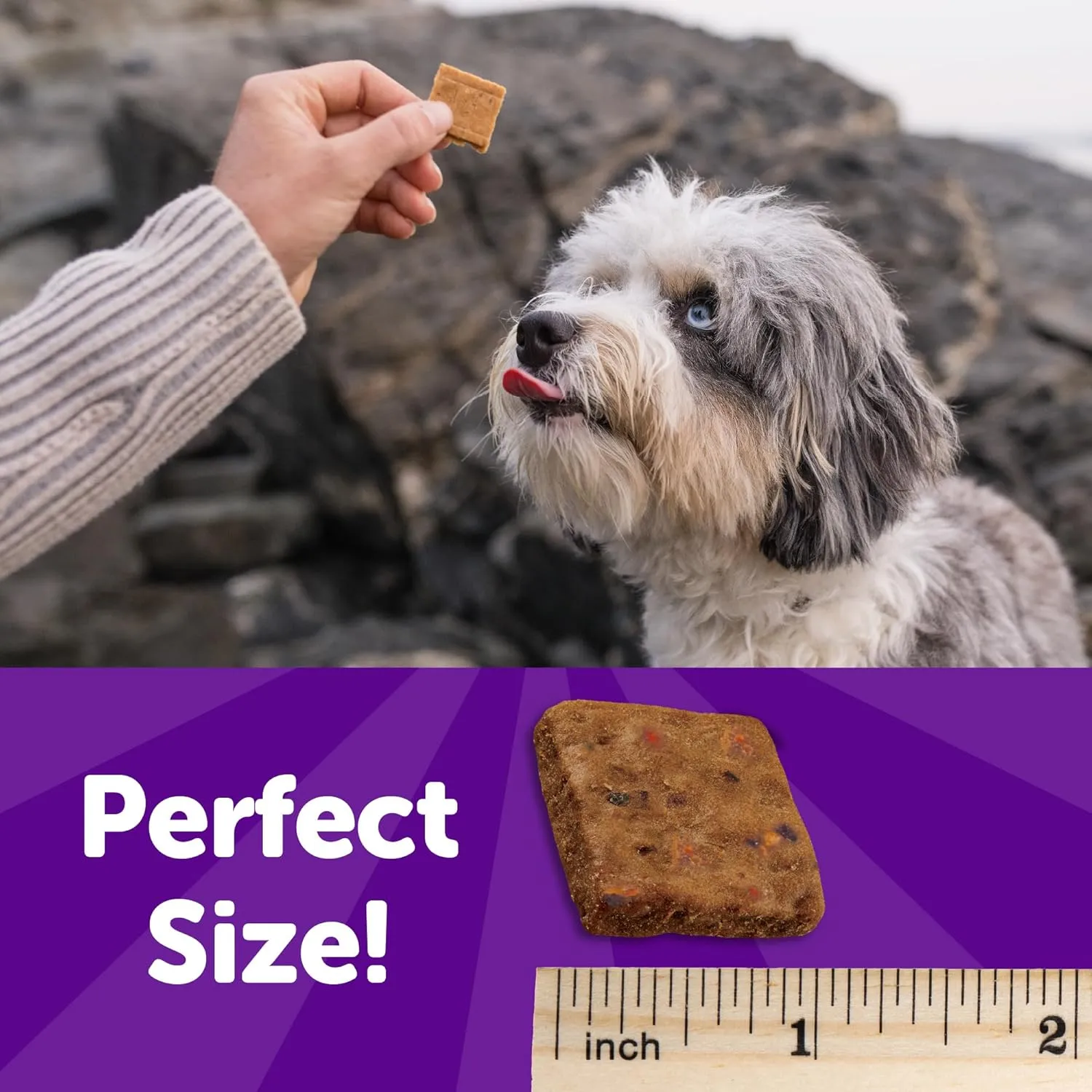 Wellness Rewarding Life Dog Treats, Natural, Training Treat, Grain Free, Soft Beef & Turkey (6 Ounce bag)